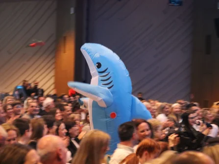 Opis slike