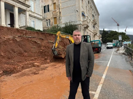 Opis slike