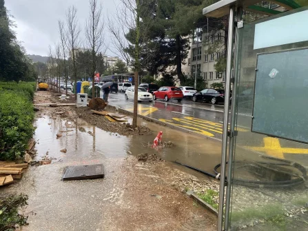Opis slike
