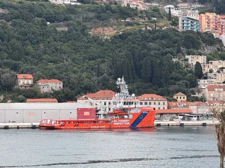 Opis slike