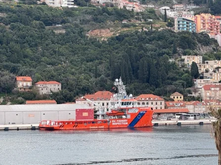 Opis slike