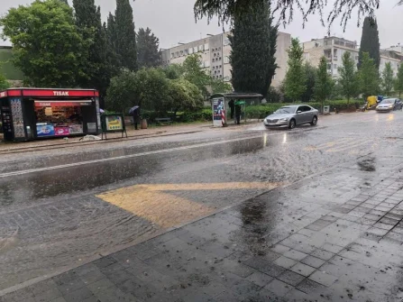 Opis slike