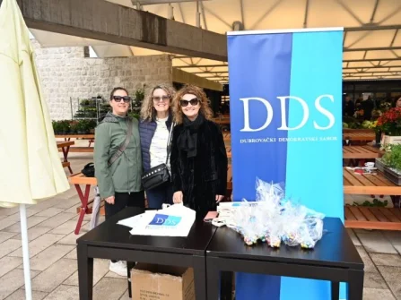 Opis slike