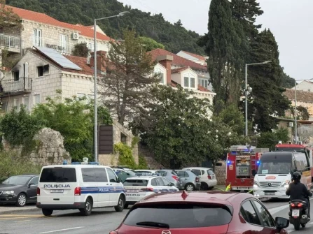 Opis slike