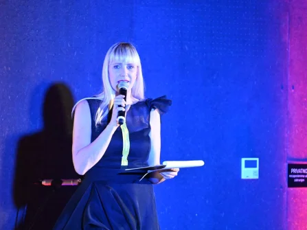 Opis slike