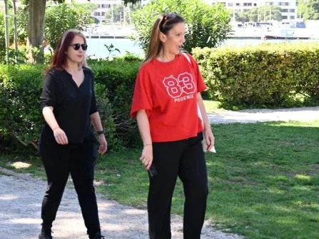 Opis slike