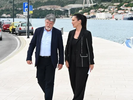 Opis slike