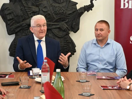 Opis slike