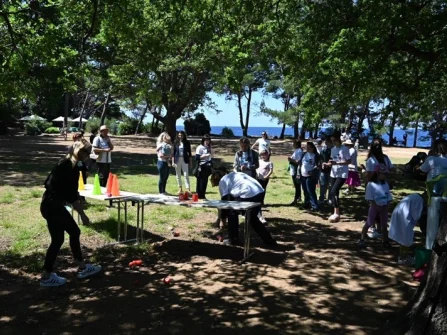 Opis slike