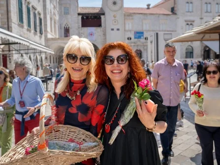 Opis slike
