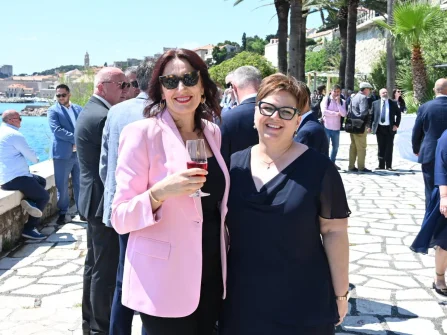 Opis slike