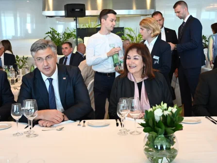 Opis slike