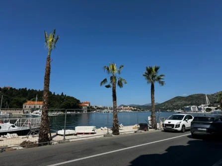 Opis slike