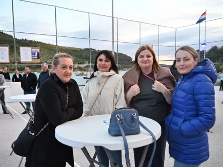 Opis slike
