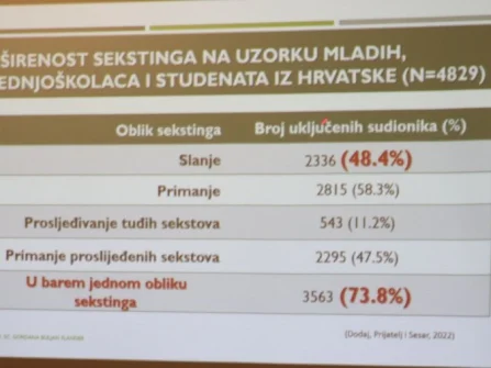Opis slike