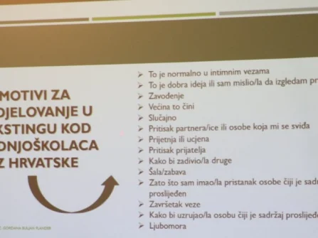 Opis slike