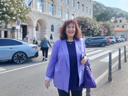 Opis slike