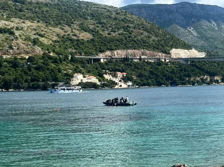 Opis slike