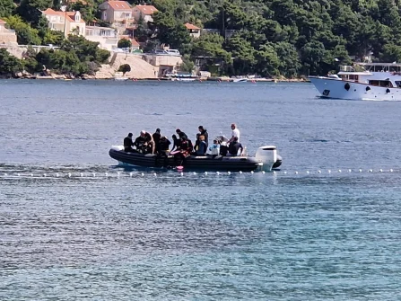 Opis slike