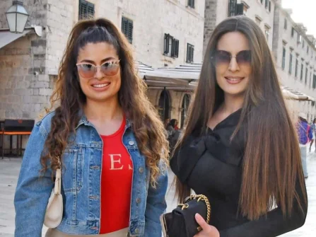 Opis slike