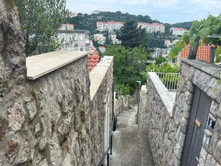 Opis slike