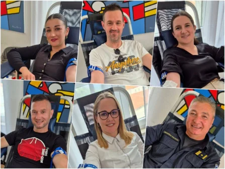 Opis slike