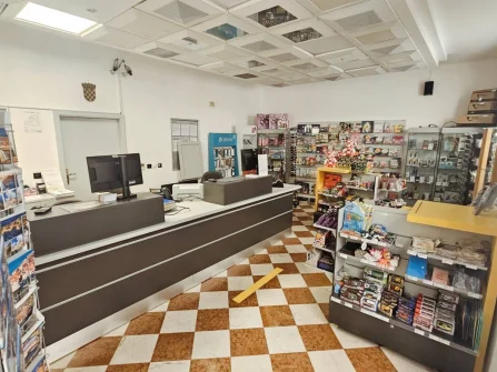 Opis slike