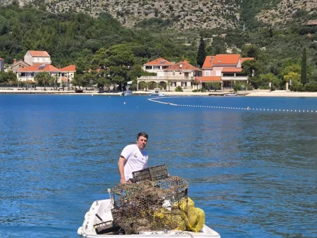 Opis slike