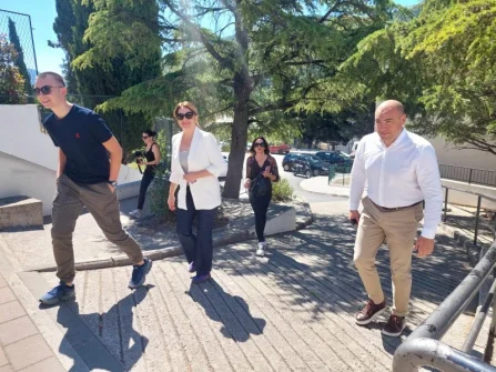 Opis slike