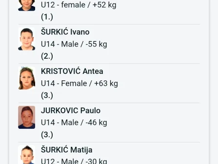 Opis slike