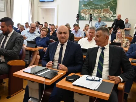 Opis slike