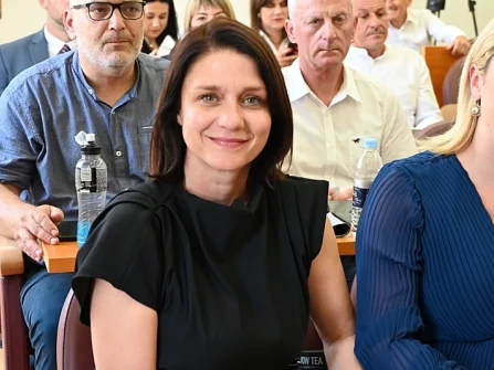 Opis slike