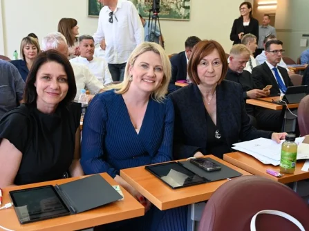 Opis slike