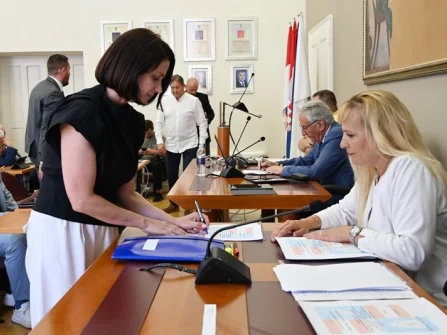 Opis slike