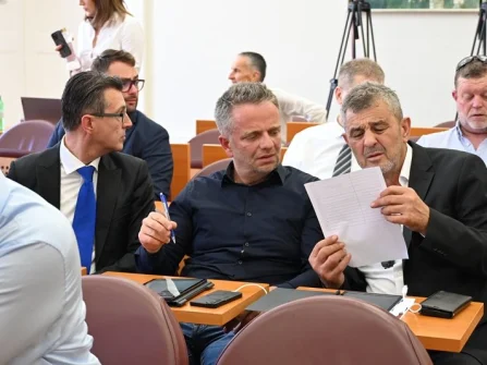 Opis slike