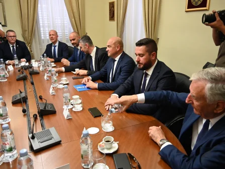 Opis slike