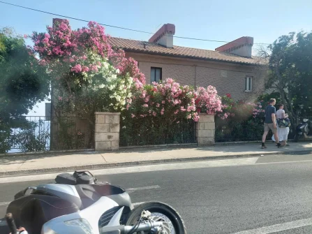 Opis slike