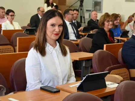 Opis slike