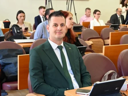 Opis slike