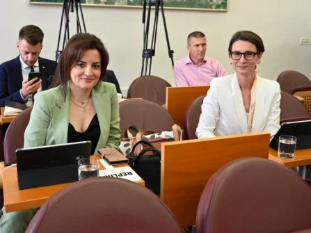 Opis slike