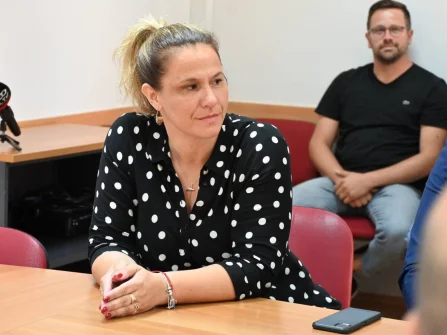 Opis slike