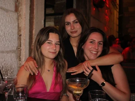 Opis slike
