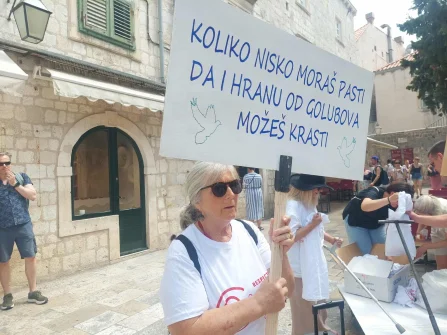 Opis slike
