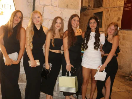 Opis slike