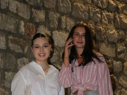 Opis slike