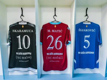 Opis slike