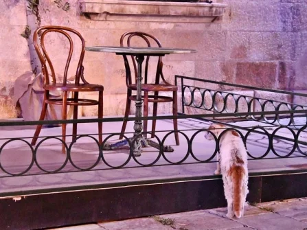 Opis slike