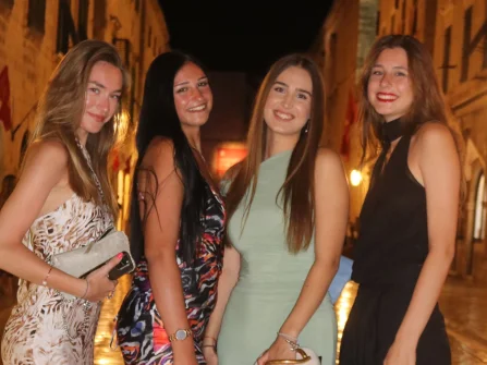 Opis slike