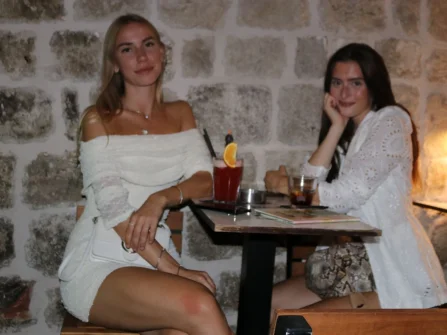 Opis slike