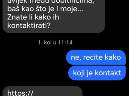 Opis slike